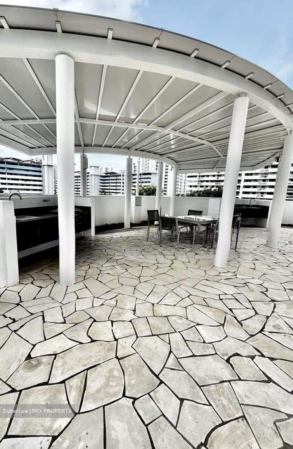 Eight Riversuites (D12), Condominium #608707121